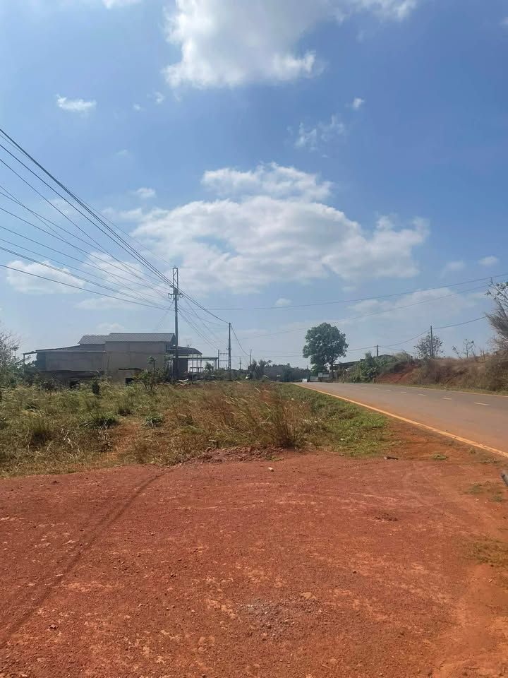 Bán Gấp Đất Mặt Tiền Quốc Lộ 14C, Tuy Đức, Đắk Nông - 300m² Giá Tốt