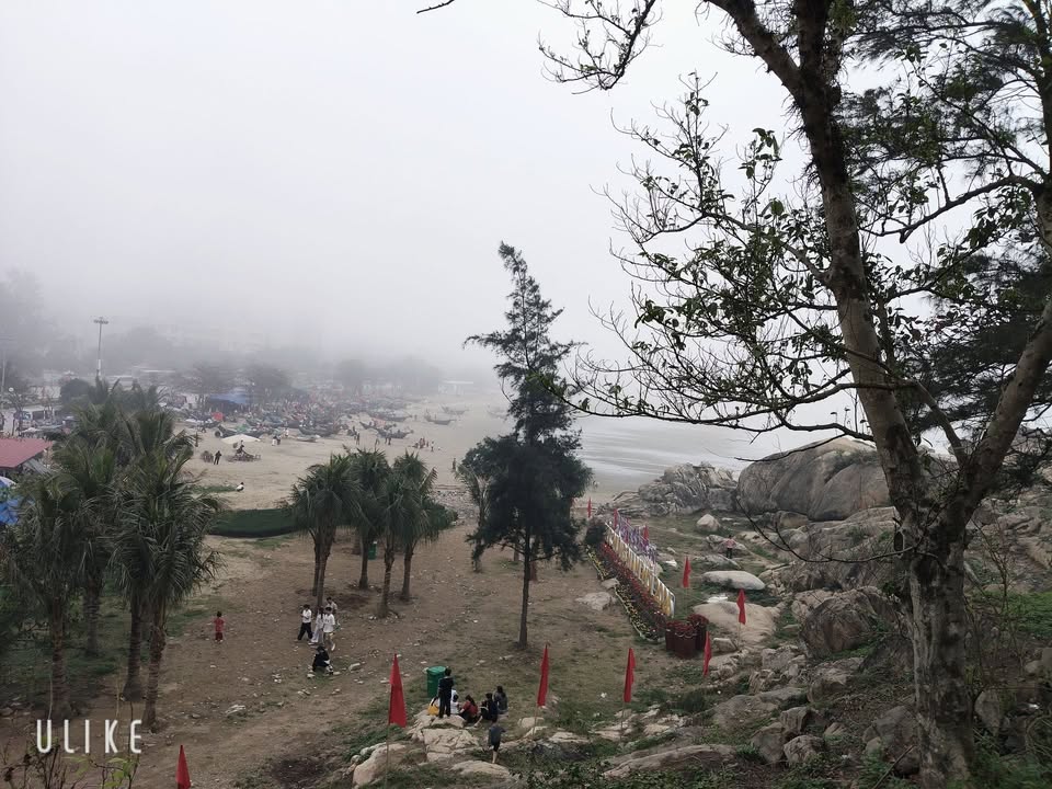 Đất nền Quảng Hải, Quảng Yên 200m² - Sổ đỏ, 100m² thổ cư!