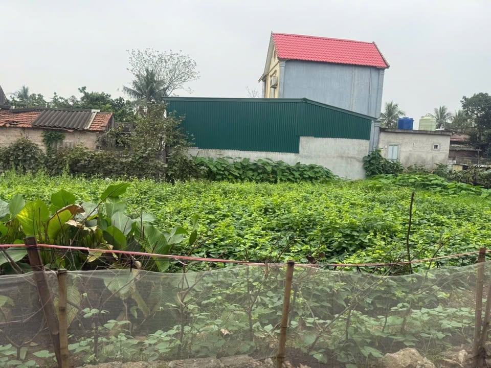 Đất nền Tạ Vĩnh Hòa, Hải Phòng - Sổ đỏ 70m² giá chỉ 4xx triệu