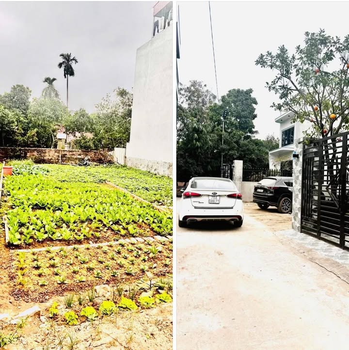 Lô Đất Xích Đằng, Hưng Yên 88m² - Tiềm năng tăng giá vượt trội!