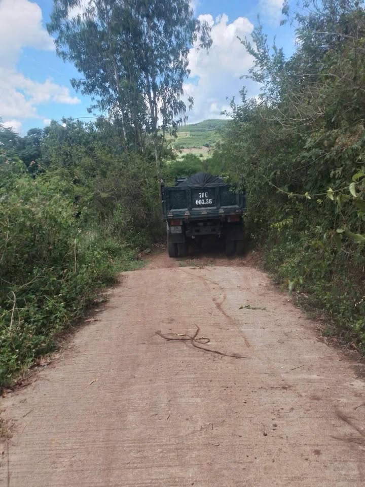 Đất Vườn 6000m² An Thọ, Phú Yên - Sổ Đỏ Sẵn Sàng, Giá Đầu Tư