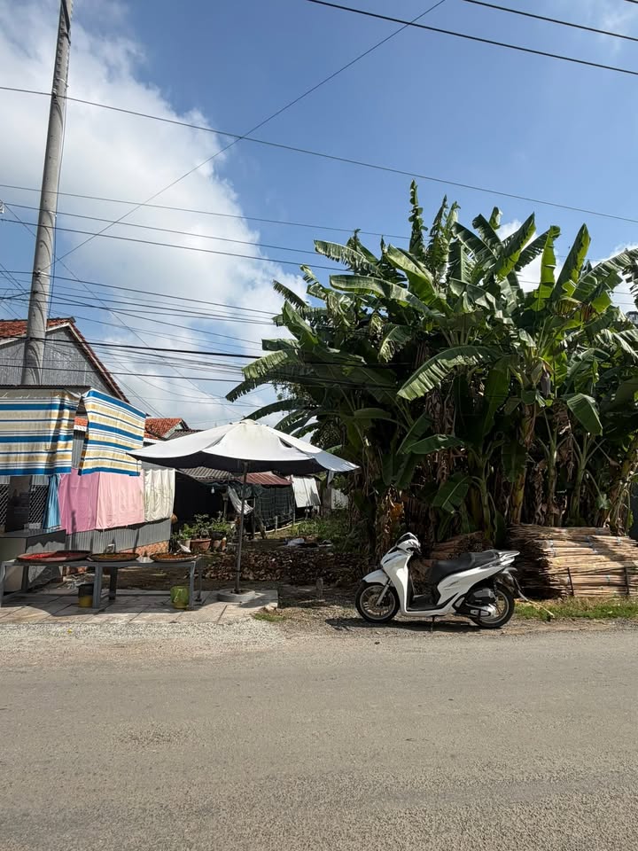 Bán Đất Nền Mặt Tiền Xã Chợ Mới, An Giang - 477m² Thổ Cư, Sổ Hồng Riêng