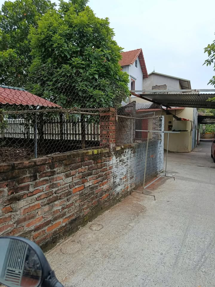 Đất Nền Vĩnh Tường 318m² - Sổ Đỏ Full Thổ Cư, Giá Đầu Tư Hơn 9 Triệu/m²