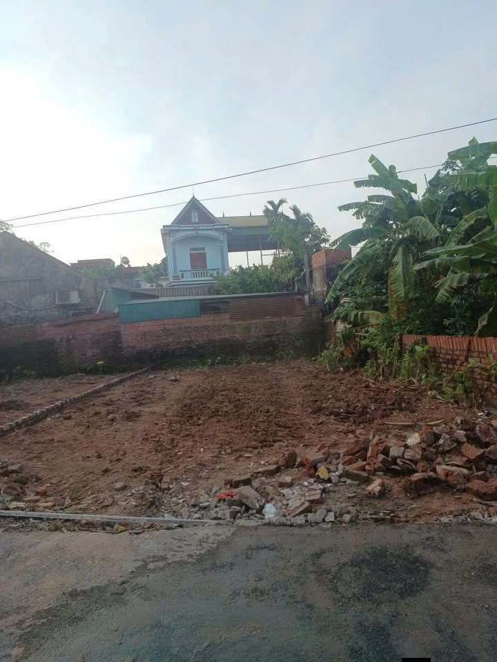 Đất nền Tân An, Vĩnh Tường 106m² - Tiềm năng tăng giá vượt trội!