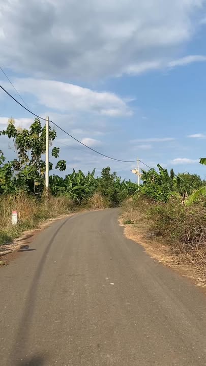 Đất nền Nghĩa Thành, Châu Đức 1000m² - Đường to ô tô!