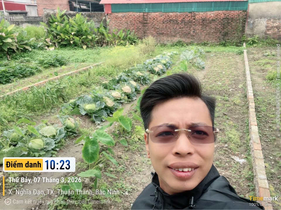 Đất nền 90m² TDP Nghĩa Xá, Thuận Thành - Đường ô tô, gần KCN, tiềm năng sinh lời