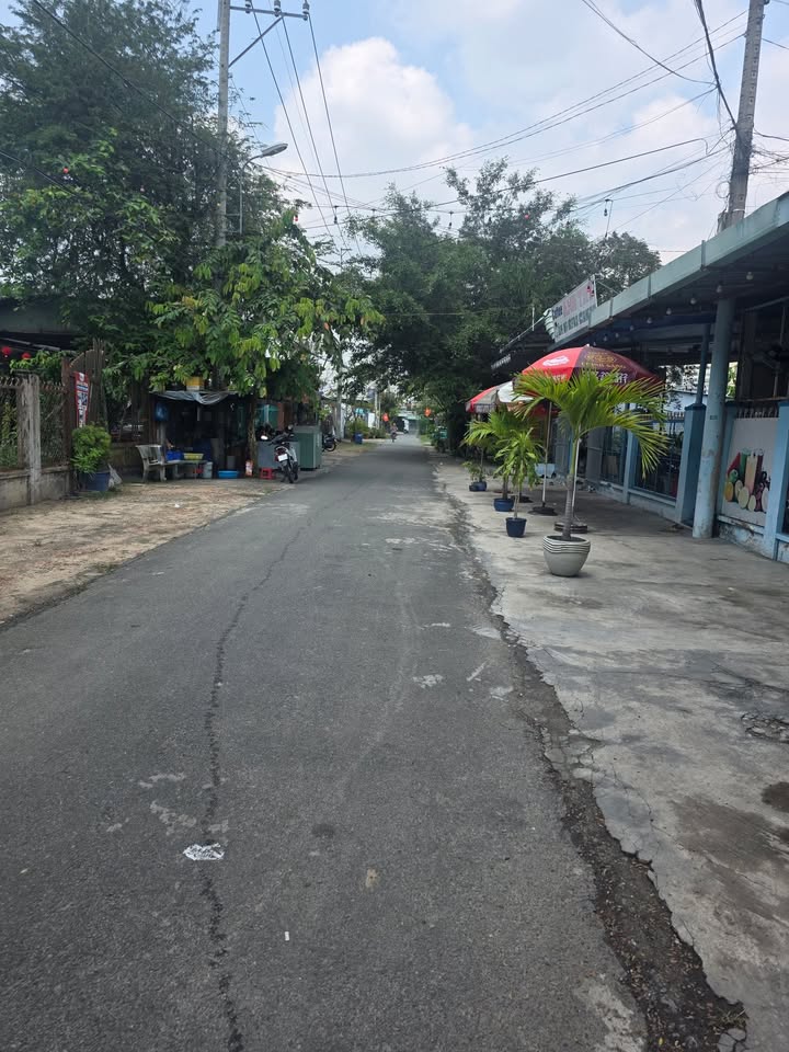 Đất Củ Chi 1240m² Full Thổ Cư - Đường Nhựa Thông, Giá Đầu Tư 14.88 Tỷ