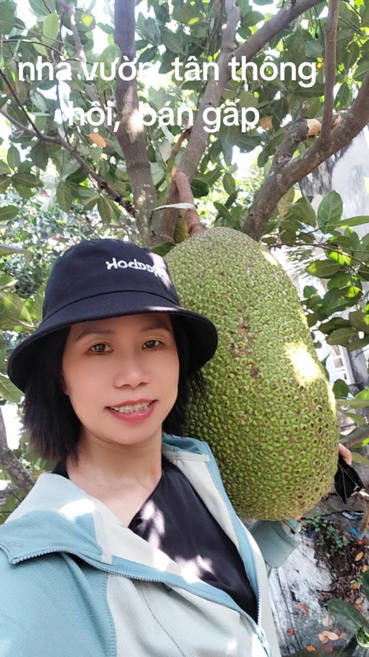 Townhouse Tan Phu Trung Cu Chi 1355m² 14 tỷ - Đầu tư sinh lời