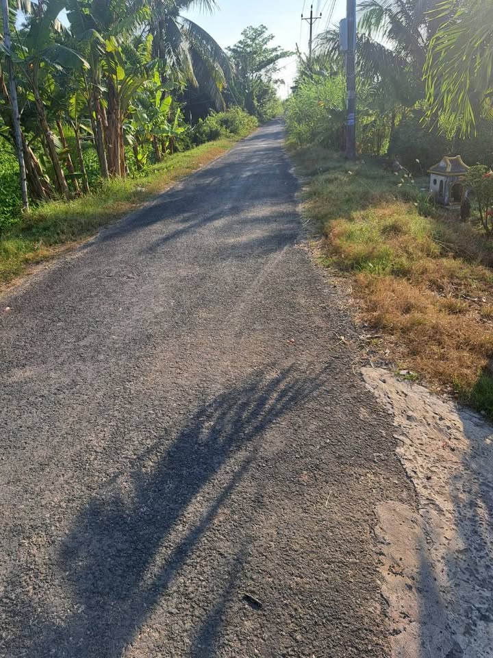 Đất nền Long Hữu, Trà Vinh 1000m² - Sổ đỏ chính chủ, xây dựng tự do!