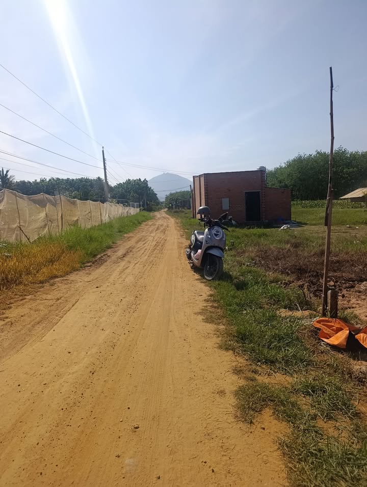 Đất nền Xã Trà Vong 101m² giá 149 triệu - Pháp lý rõ ràng