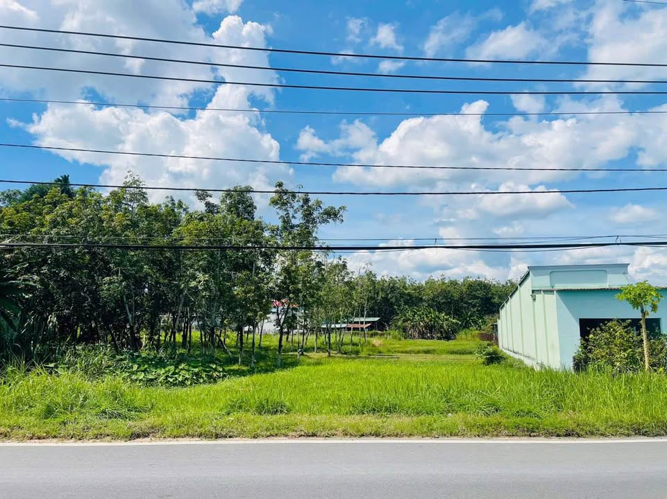 Đất Vàng Củ Chi 1000m² MT Tỉnh Lộ 7, An Nhơn Tây - Giá 7.8 Tỷ