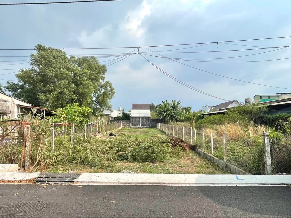 Đất nền Nguyễn Viết Xuân Củ Chi 437.5m² – Sổ hồng, thổ cư