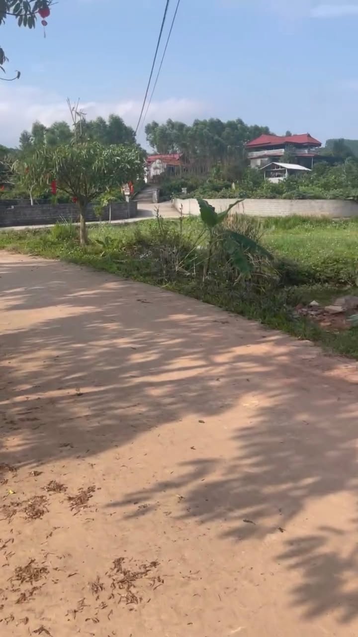 Đất Vô Tranh, Lục Nam: 1300m² Bám Mặt Đường Hơn 30m - Giá Chỉ Hơn 1 Tỷ