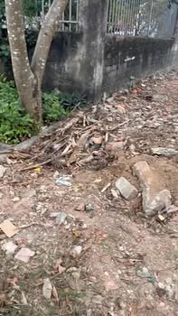 Bán Đất Vàng Tỉnh Lộ 295, Bắc Giang - 400m², Sổ Đỏ Sẵn Sàng