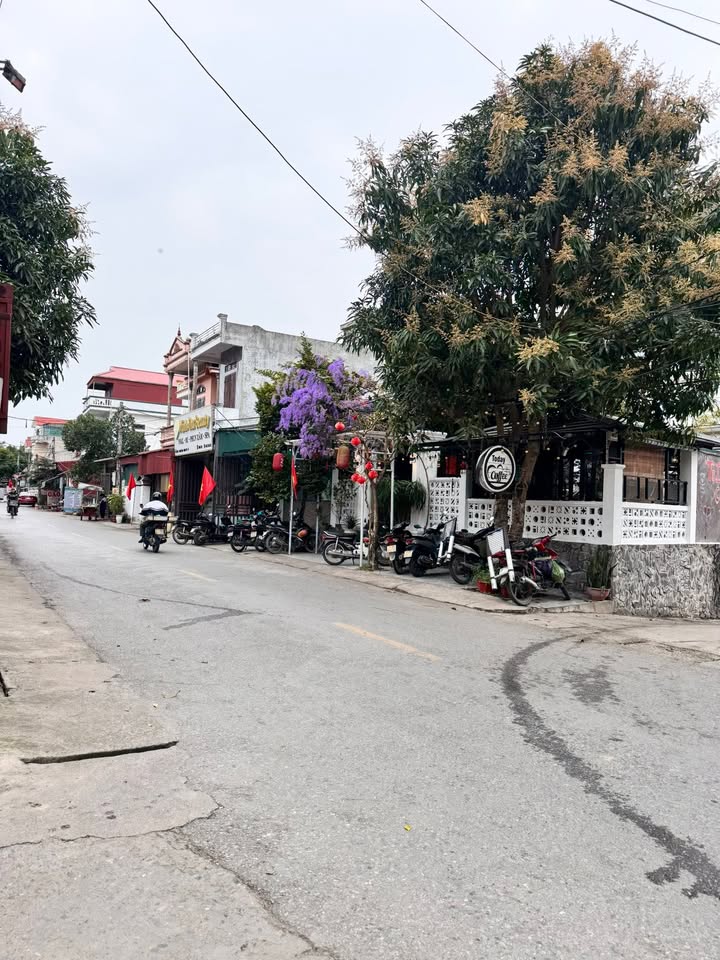 Nhà Mặt Tiền Kinh Doanh 121m² - Thị Trấn Quỳnh Côi, Thái Bình - Giá 2.42 Tỷ