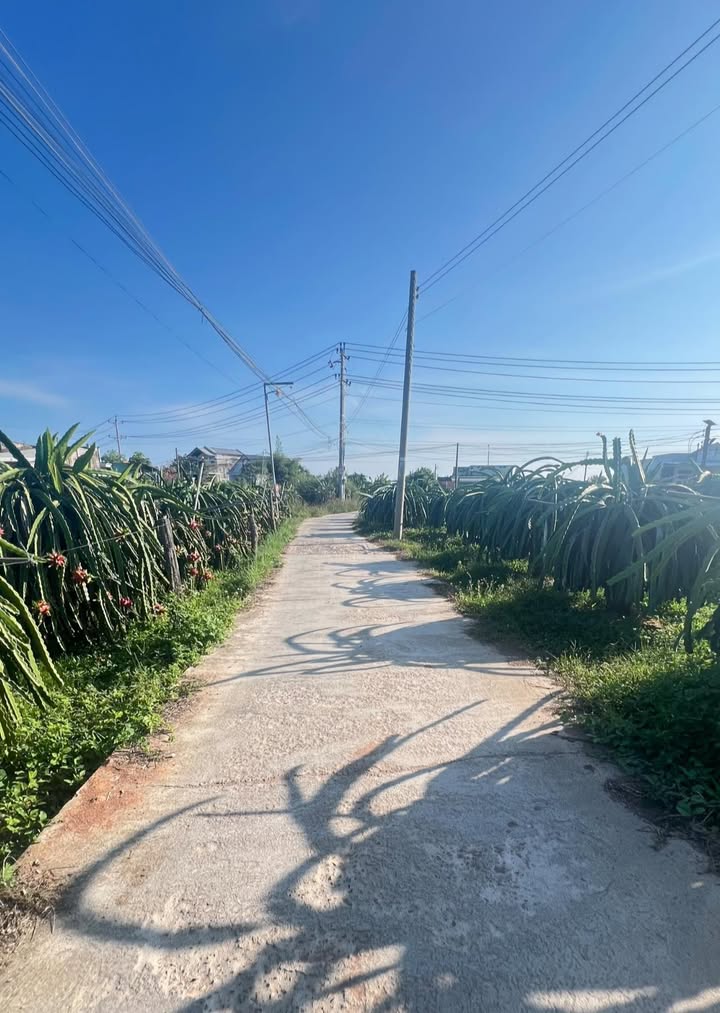 Bán đất 1700m² Xuân Điền, Hàm Hiệp - Sổ sẵn, giá 790 triệu