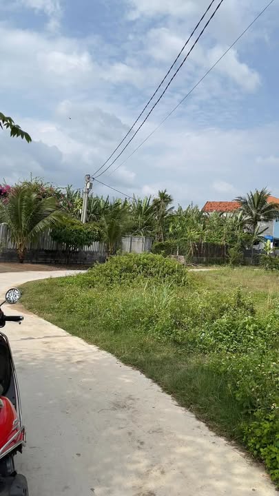 Bán Đất 195m² Đại Cát 1, Ninh Hòa - Sổ Đỏ Sẵn Sàng