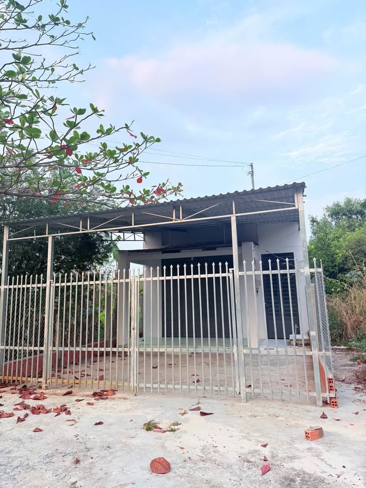 Bán Nhà Mặt Tiền 12m Thạnh Tân, Tây Ninh - 256m² Giá 870 Triệu