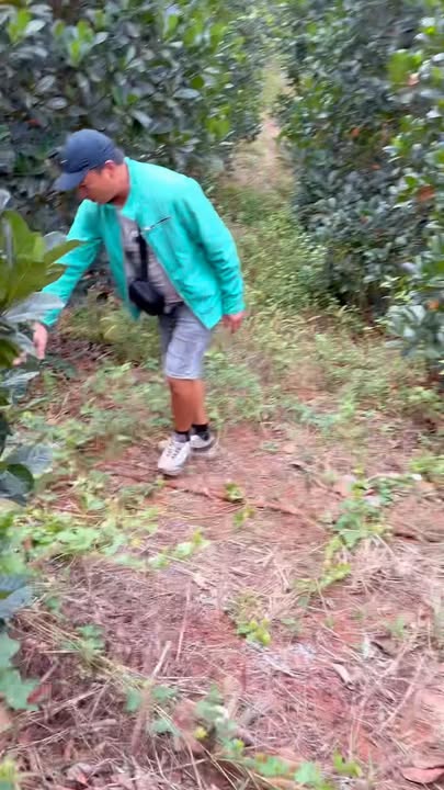 Đất Vườn Đồng Nai 34.654m² - Lô Vuông Vắn, Sẵn Sổ Hồng