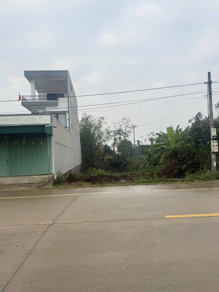 Đất nền QL12B Nho Quan 100m² - Sổ đỏ chính chủ!