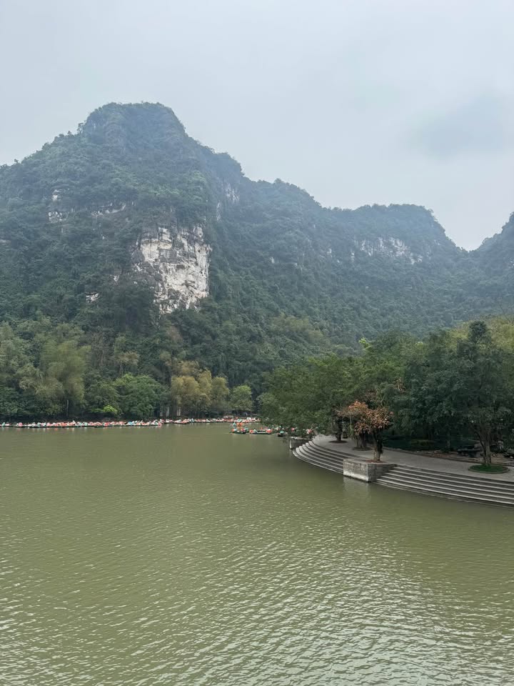 Đất Nền Ninh Bình 108m² - Đầu Tư Hời Ngay Ngõ 63 Lê Thái Tổ