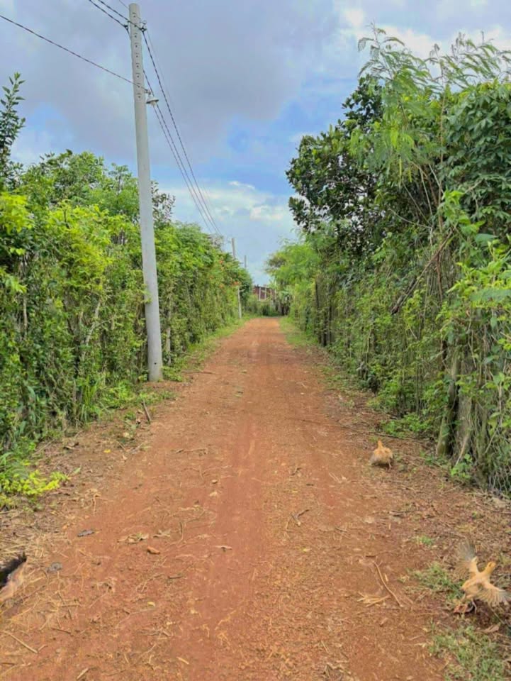 Đất vườn 5000m² Suối Nho, Định Quán - Giá 1.3 tỷ, đầu tư tốt!