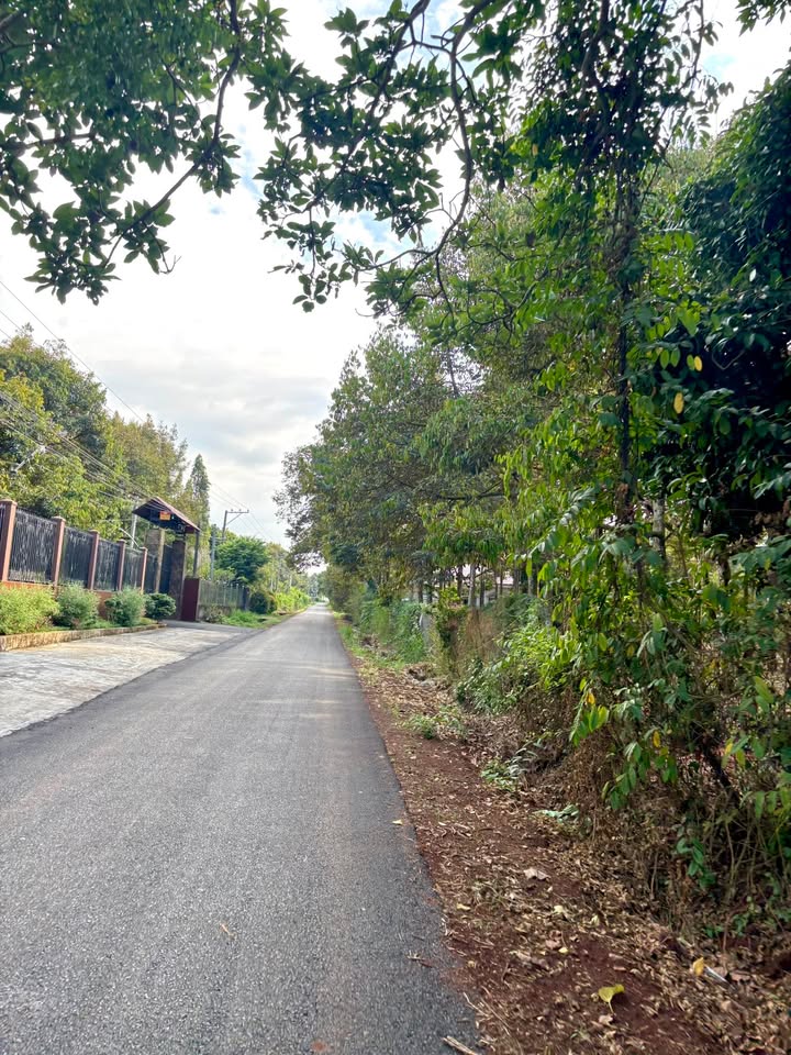 Đất nền Hàng Gòn Long Khánh 95m² - Xây dựng tự do, sổ đỏ sẵn sàng!