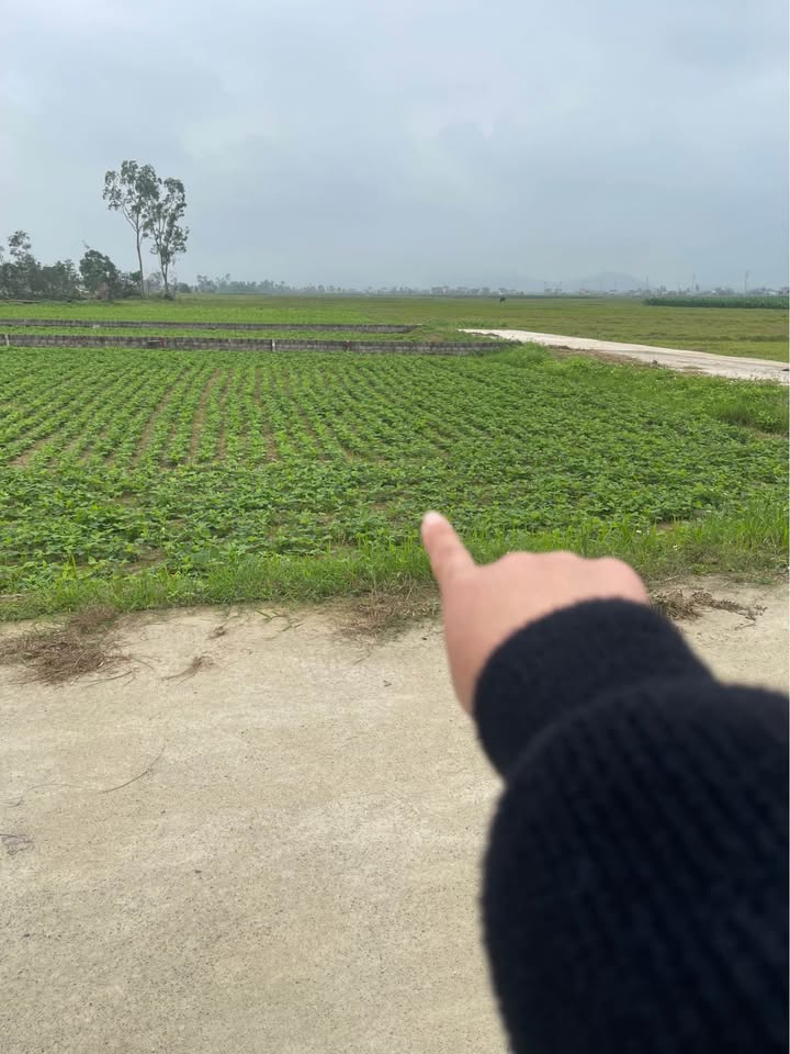 Đất Nền Nghi Trường, Nghi Lộc 97m² Sổ Sẵn - Ngay Xóm Trường Sơn