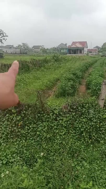 Đất nền Thành Phố Vinh 245m² - Đường to ô tô, tiềm năng tăng giá!