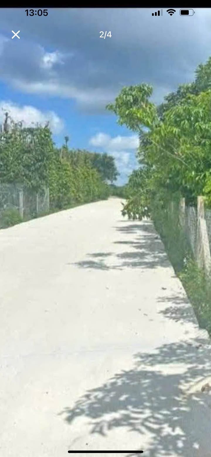 Đất Nền Bảo Lâm 2221m² Sổ Đỏ - Giá 2.4 Tỷ, Đường Betong Oto