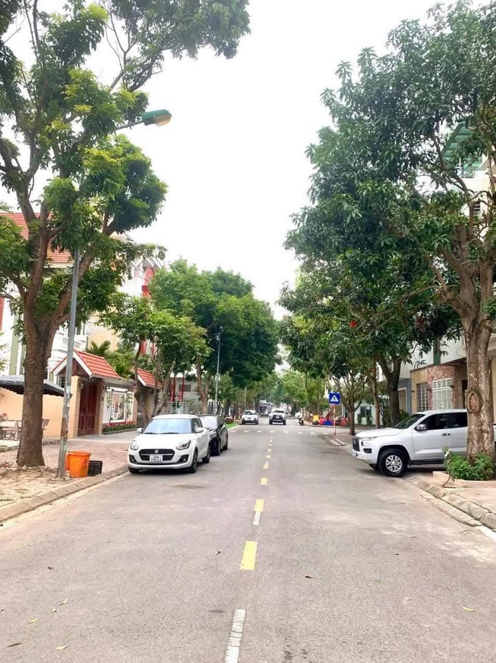 Đất Biệt Thự Mặt Phố Nguyễn An - 315m² Sổ Hồng, Hướng Đông Nam