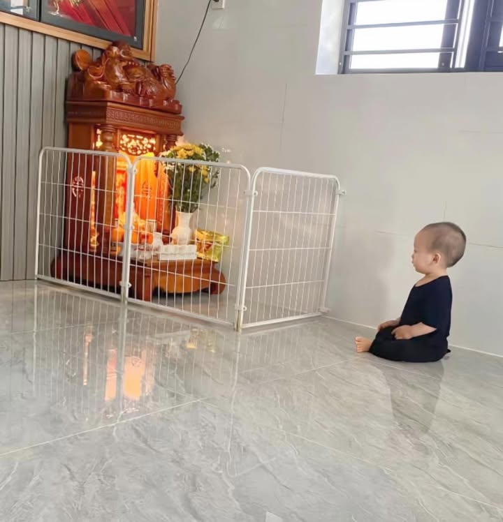 Bán Đất Tặng Nhà Cấp 4 Nguyễn Hữu Cầu, HP - 55.6m² - Giá 1 Tỷ