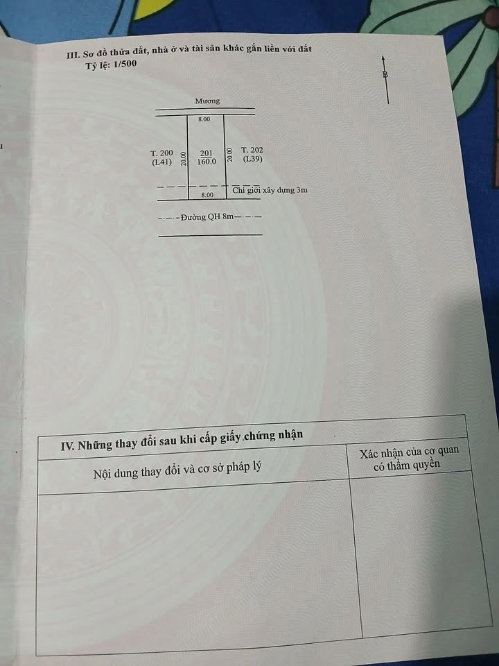 Đất nền Thôn Lương Điền Đông 160m² - Đất thổ cư 100%