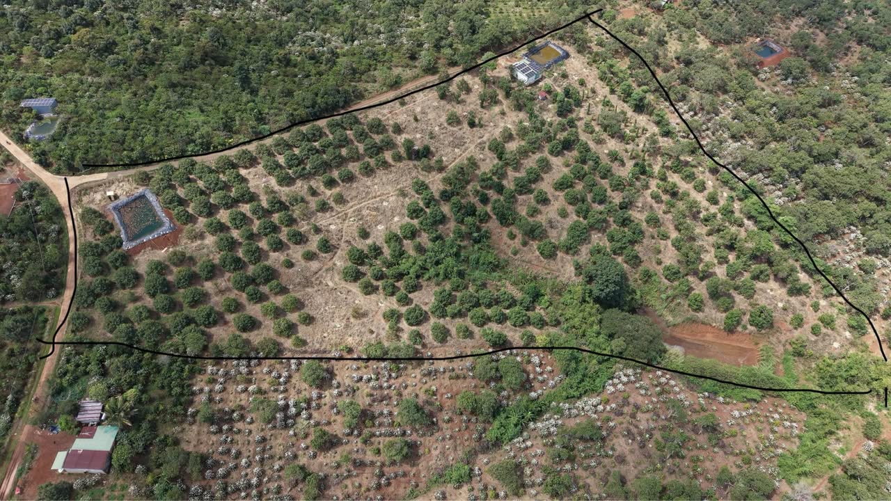 Bán gấp 1.9ha sầu riêng kinh doanh tại Quảng Tín, Đắk Nông - 6 tỷ