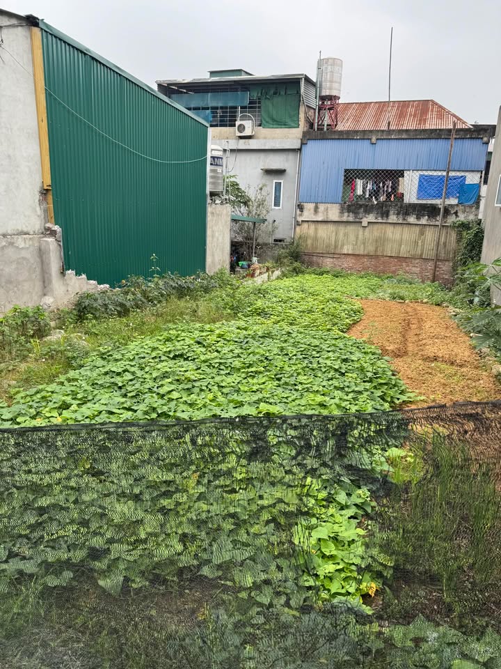 Đất Nền Ngõ 69 Lý Tự Trọng Việt Trì 160m² - Đường To Ô Tô