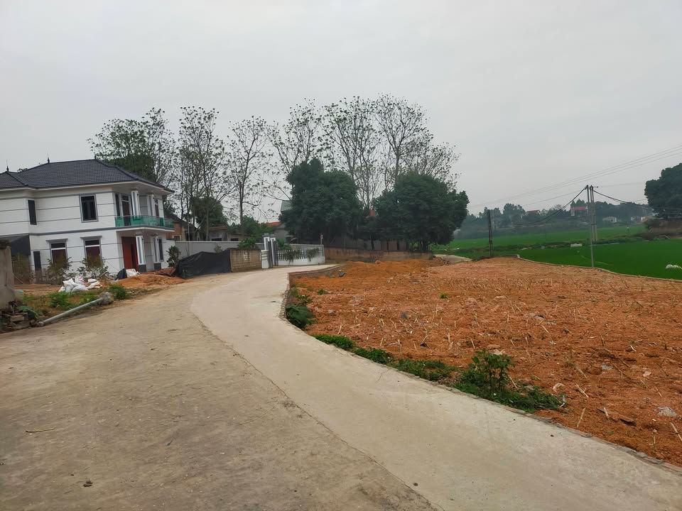 Đất nền Thanh Đình 104m² - Chỉ hơn 1 tỷ, Đất thổ cư 100%!