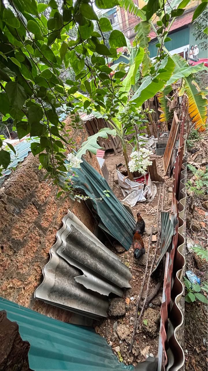 Đất nền Hán Lữ, Việt Trì 116m² - Lô góc kinh doanh, gần KCN Khai Quang