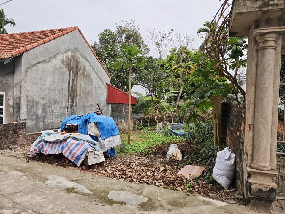 Bán đất vuông vắn 106.5m² Phường Dữu Lâu, Việt Trì - Sẵn sàng an cư