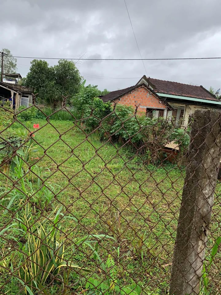 Đất Nền 135m² Bình Định - Sổ Đỏ Sẵn, Giá Ngộp Chỉ 3xx Triệu