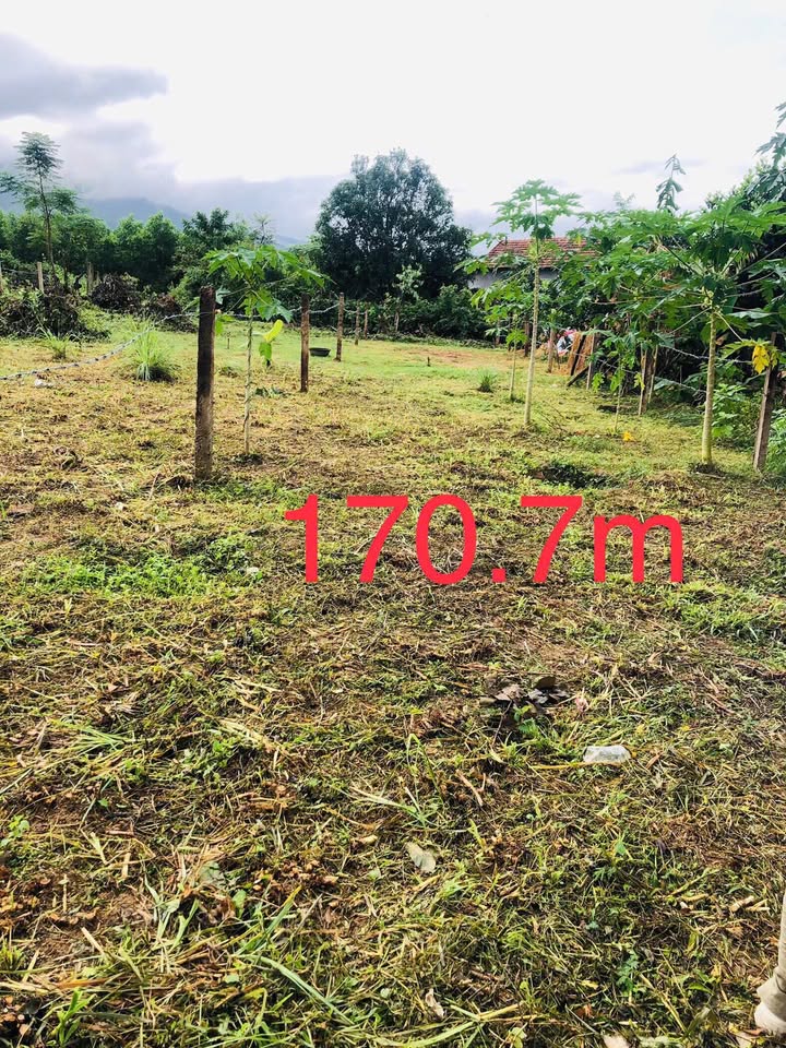 Bán Đất Nền 2 Lô Liền Kề 171m² - Tây Sơn, Bình Định - Sổ Hồng Sẵn Sàng