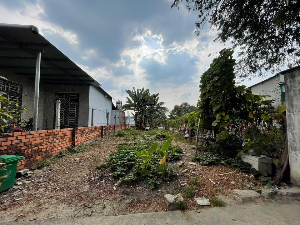 Đất Tương Bình Hiệp, Thủ Dầu Một 154.7m² - Giá Tốt 1.5 Tỷ