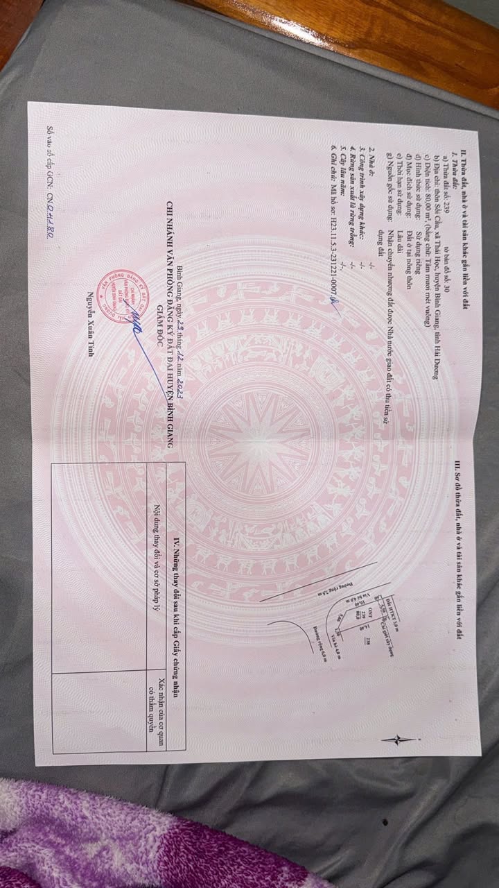 Đất nền Dự án Thái Học 80m² giá 3 tỷ - Tiềm năng tăng giá vượt trội!