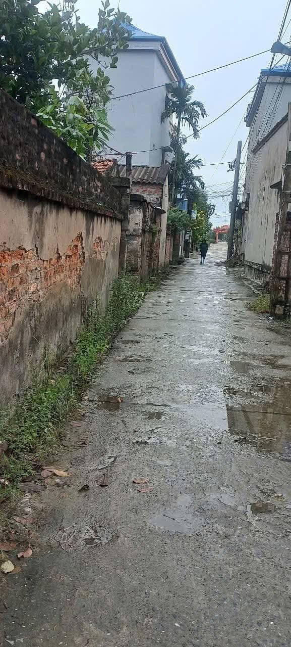 Đất nền Thôn Khương, Thái Đào 80m² - Sổ đỏ chính chủ!