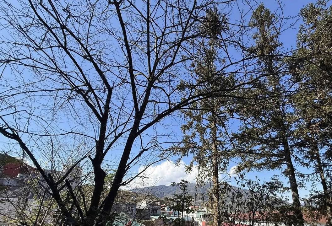 Nhà 2 Tầng Trung Tâm Sa Pa 125m² - Sổ Đỏ Full Thổ Cư - Giá 4 Tỷ