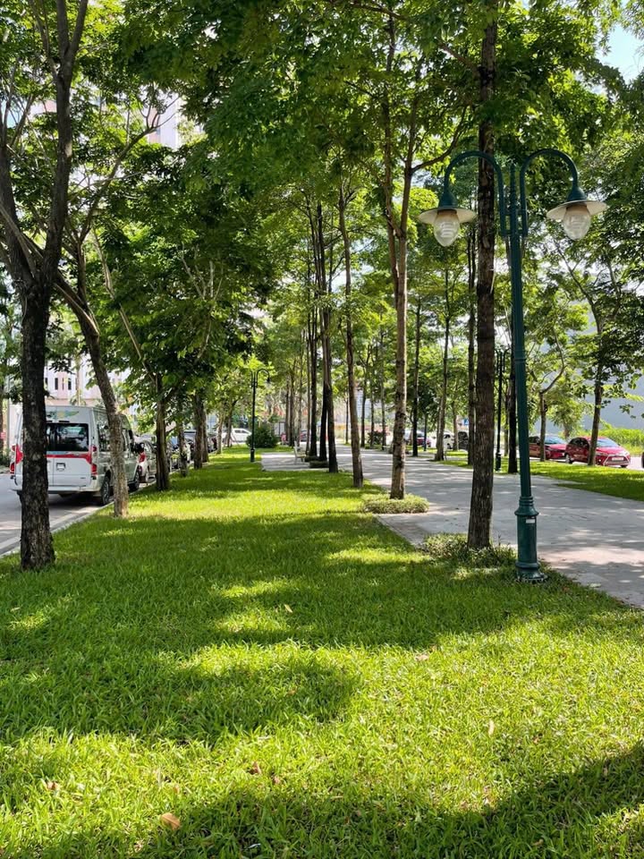 Đất Nền Khu Bách Việt - Bắc Giang 82.4m² - Vị Trí Vàng, Sẵn Sổ