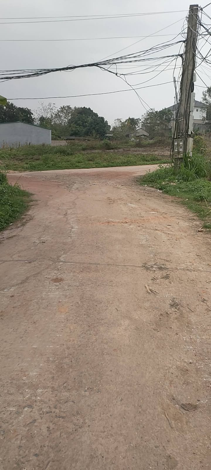 Đất Lô Góc 110m² Vĩnh Phúc - Gần KCN Tam Dương, Giá 7xx Triệu