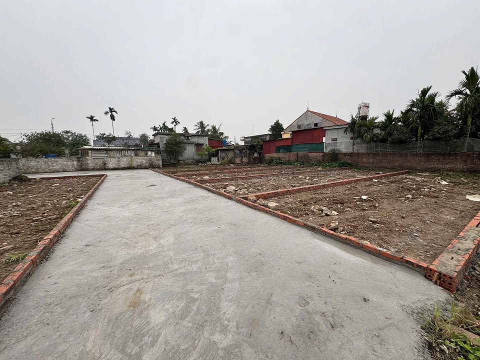 Đất nền Vĩnh Hưng Vĩnh Bảo 100m² - Đường to ô tô, giá siêu tốt!