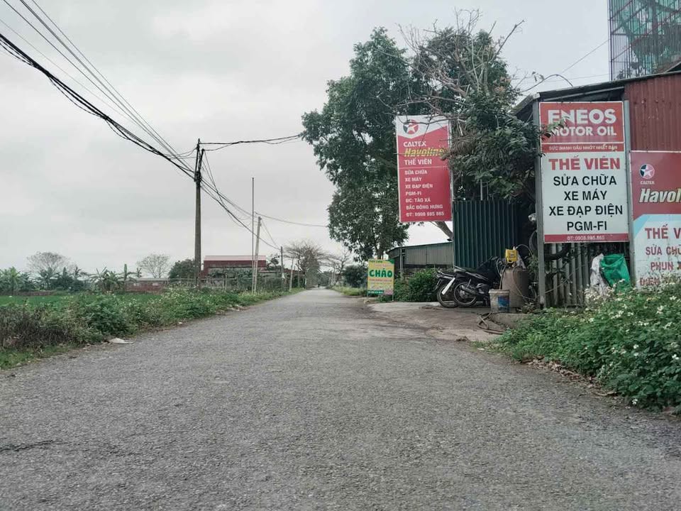 Bán Đất Nền 300m² Đông Xá, Đông Hưng, Thái Bình - Sổ ONT, Giá Tốt