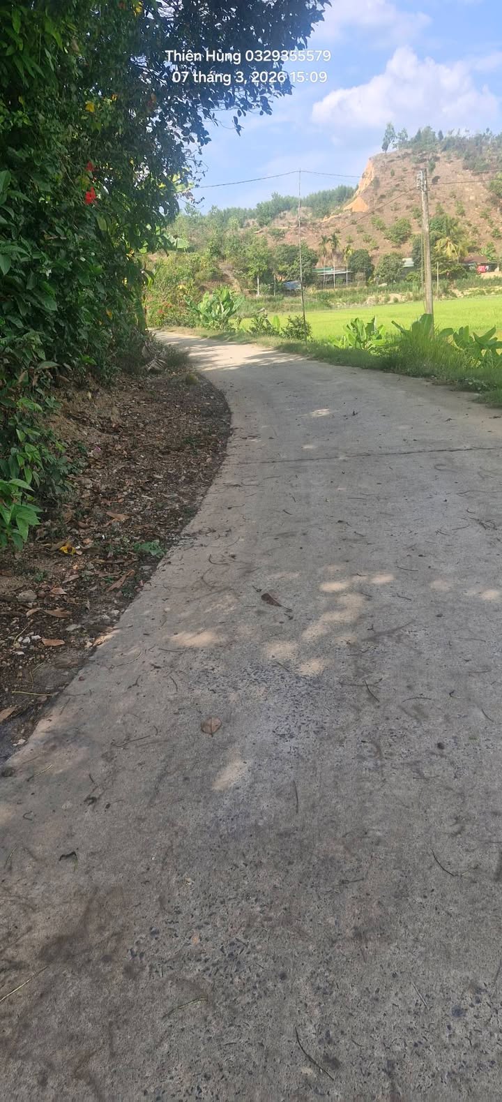 Đất vườn kèm nhà cấp 4 Xã Tiên Hoàng 3900m² - Sổ đỏ chính chủ!