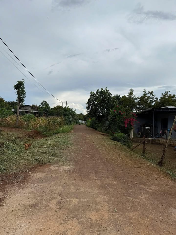 Đất nền Mạc Đăng Dung Biên Hòa 288m² - Sổ đỏ chính chủ, giá tốt!